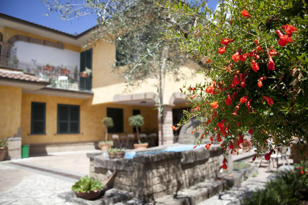 Albergo Da Benedetta Vetralla Exteriér fotografie